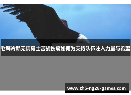 老鹰冷酷无情勇士苦战伤痛如何为支持队伍注入力量与希望