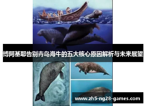 博阿基耶告别青岛海牛的五大核心原因解析与未来展望
