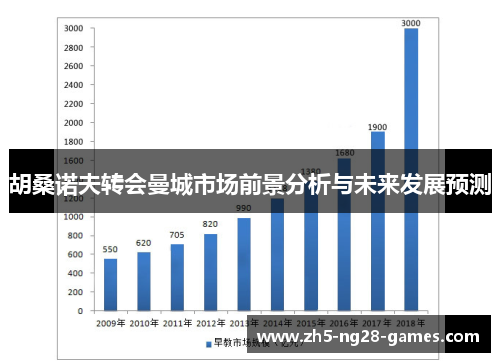 胡桑诺夫转会曼城市场前景分析与未来发展预测